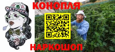 PSILOCYBIN Гатчина