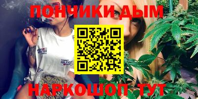 PSILOCYBIN Гатчина