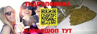 PSILOCYBIN Гатчина