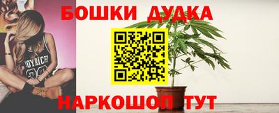 прущие крисы Гай