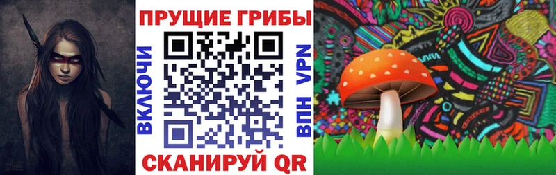 Галлюциногенные грибы Psilocybe  где найти наркотики  Каменск-Шахтинский 
