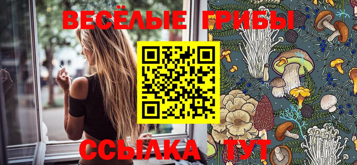 Галлюциногенные грибы мицелий  Каменск-Шахтинский 