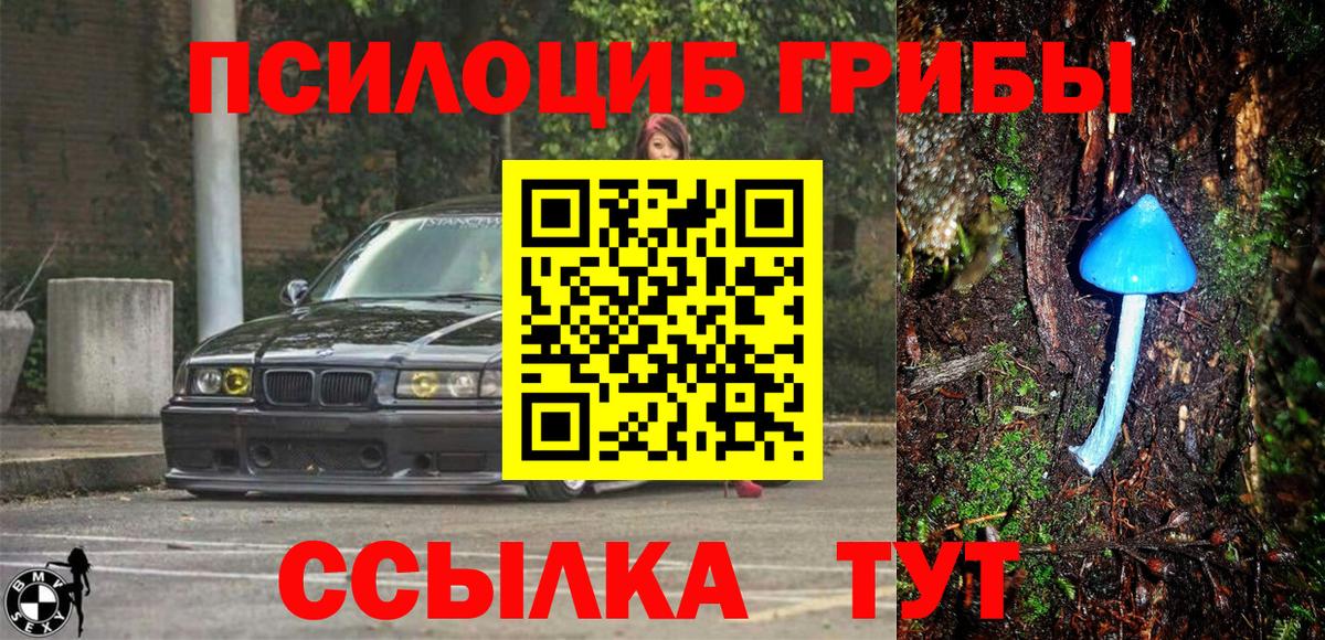 Галлюциногенные грибы MAGIC MUSHROOMS Каменск-Шахтинский